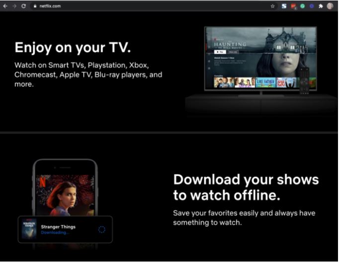 Picture of the Netflix website.
