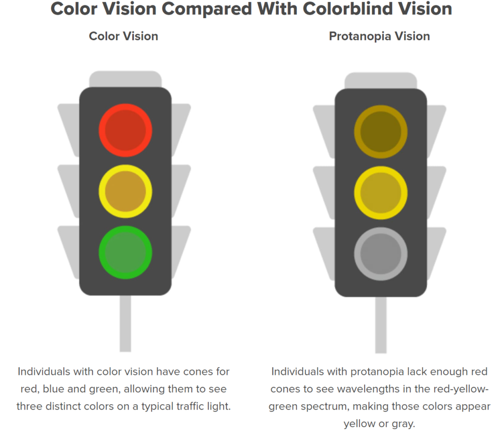 Picture of color vision compared with colorblind vision