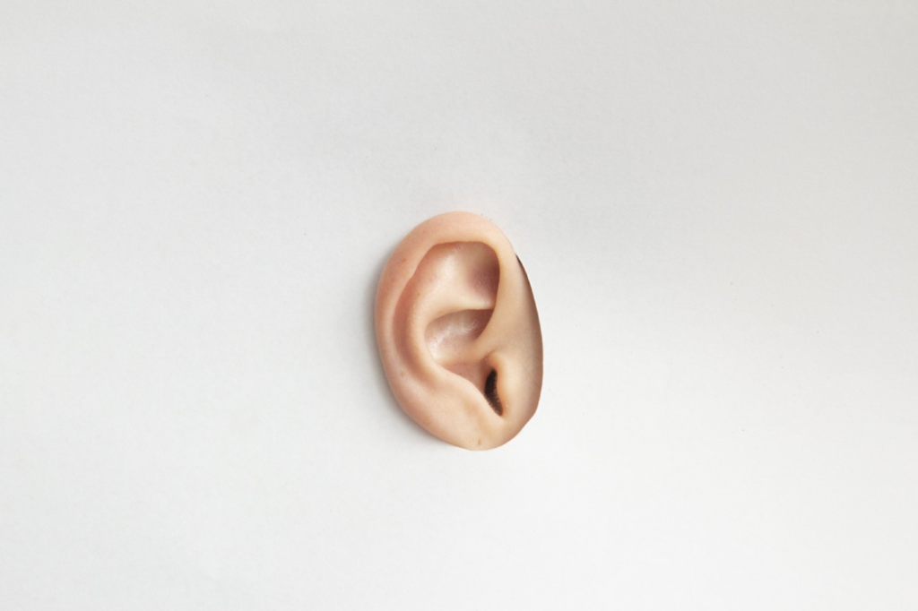Picture of an ear.