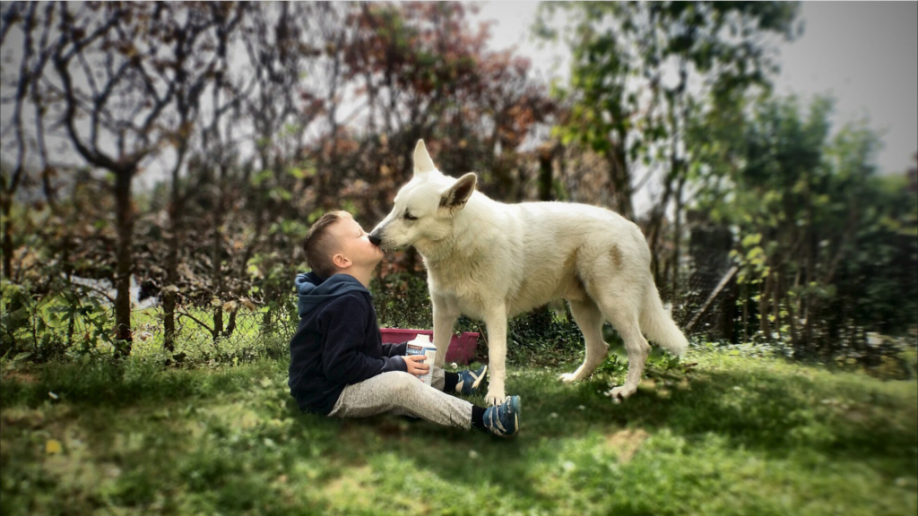 Picture of a kid sitting with a dog.