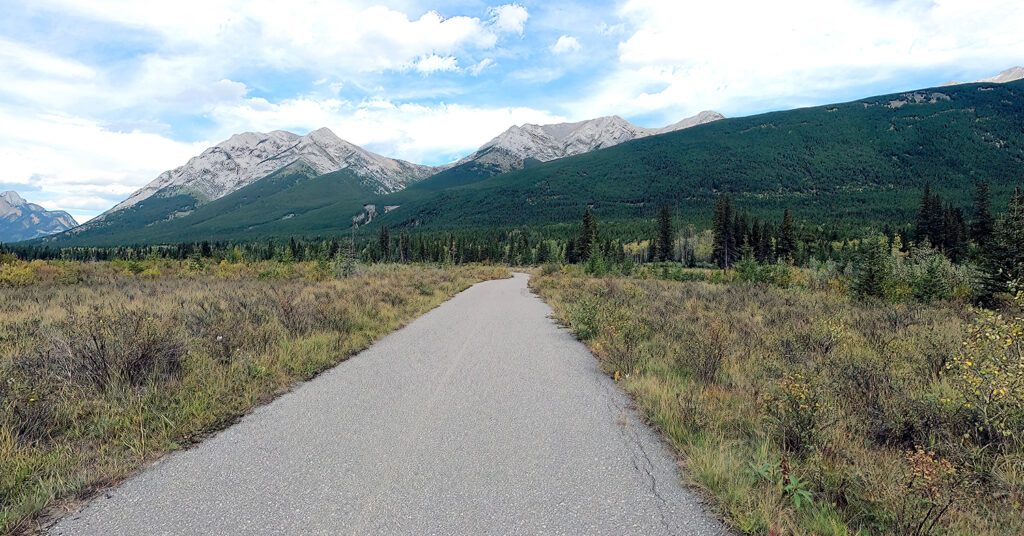 Road leading to a mountain vista