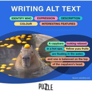 A blue image titled WRITING ALT TEXT has five words over colour that read IDENTIFY WHO, EXPRESSION, DESCRIPTION, COLOUR, and INTERESTING FEATURES. Below a capybara sits calmly in water. Beside this image an example of ALT text reads, "A capybara looking relaxed in a hot spa. Yellow yuzu fruits are floating in the water, and one is balanced on the top of the capybara's head.